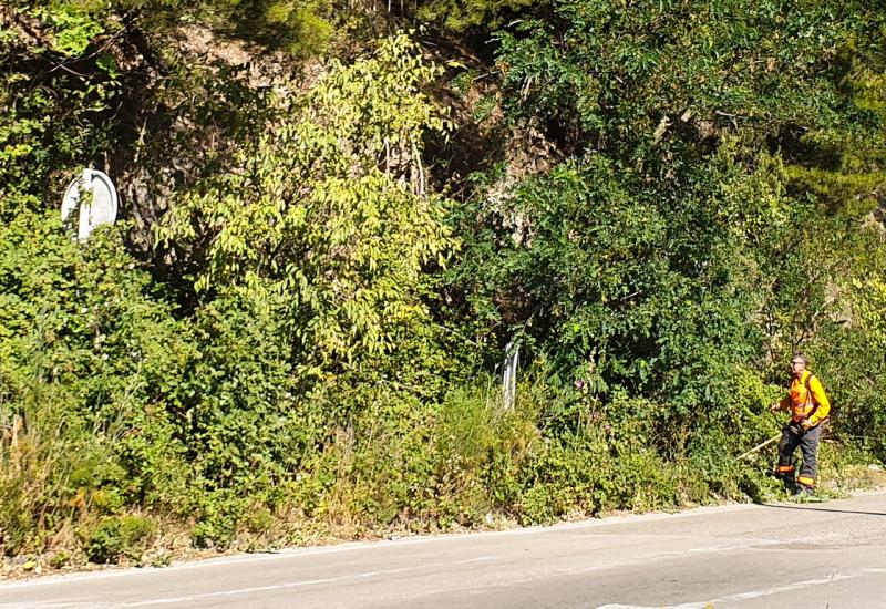Od zarasle vegetacije prometni znakovi nisu bili vidljivi - Mostar: 